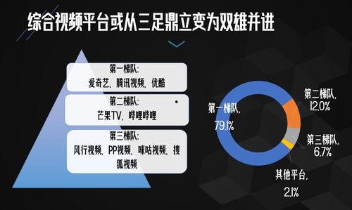 网络视频平台,内容创新与用户互动的完美融合