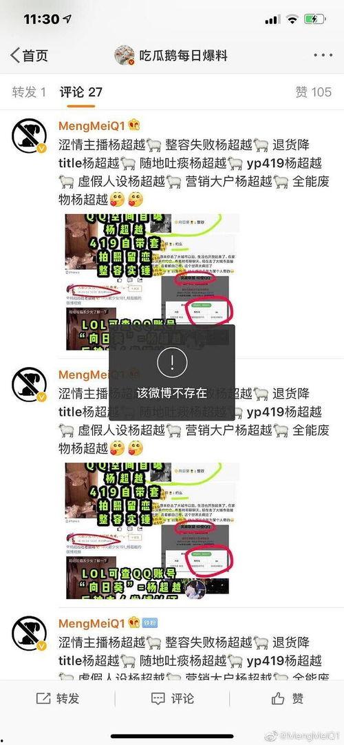 吃瓜鹅每日爆料阿青,揭秘吃瓜鹅每日爆料背后的真相