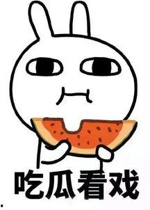 娱乐吃瓜酱算什么行业的,揭秘娱乐圈幕后那些事儿